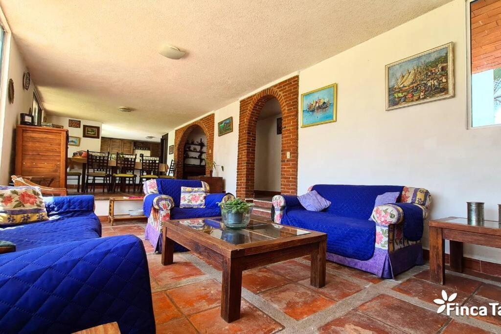 Finca Taino. Hermosa Casa Con Alberca Джутепек Екстериор снимка
